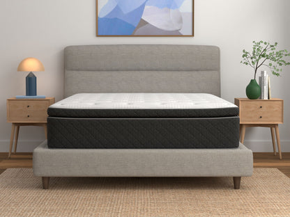 Spring - Clement Plush Pillow Top Mattress