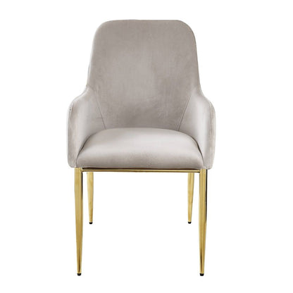 Barnard - Side Chair (Set of 2) - Gray Velvet & Mirrored Gold